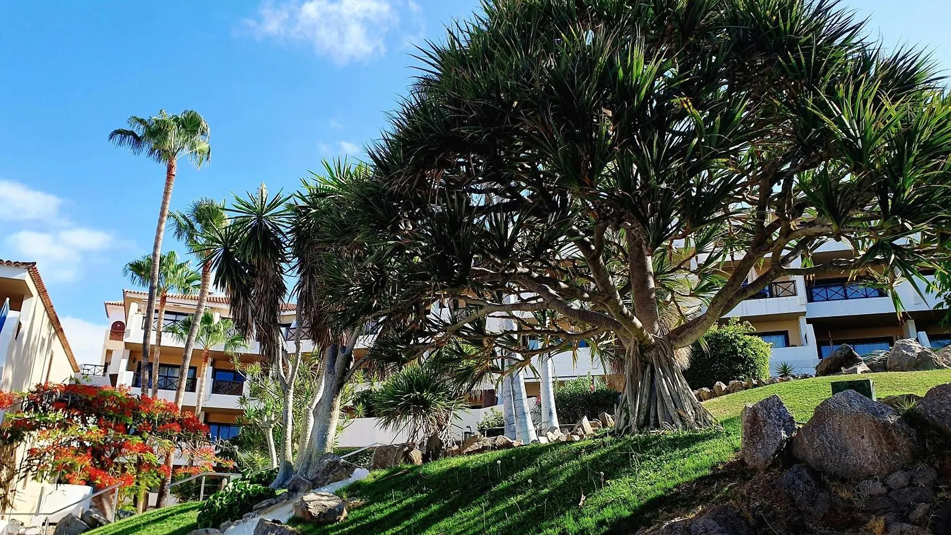 Spacious Apartment With Private Garden In Tenerife South San Miguel de Abona Spain